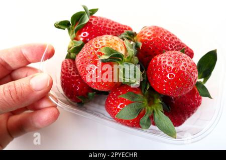 Fraises mûres dans un emballage en plastique sur fond blanc. Délicieuses baies fraîches dans un récipient à vendre aux clients. Garder les aliments frais. Nourriture saine. Main de femme tenant des fraises. Banque D'Images