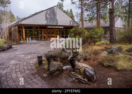 Le High Desert Museum près de Bend, Oregon, États-Unis. Banque D'Images