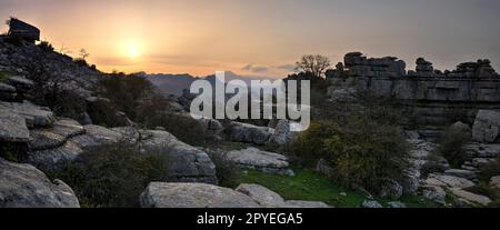 El Torcal de Antequera. Bonitos paisajes Karsticos, con muchas huellas de Amonites. Banque D'Images