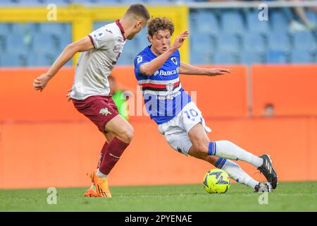 Genova, Italie. 03rd mai 2023. Stade Luigi Ferraris, Gênes, Italie, 03 mai 2023, Alessandro Buongiorno (Torino) - Sam Lammers (Sampdoria) pendant UC Sampdoria vs Torino FC - football italien série A Match Credit: Live Media Publishing Group/Alay Live News Banque D'Images