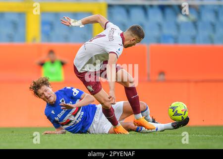 Genova, Italie. 03rd mai 2023. Stade Luigi Ferraris, Gênes, Italie, 03 mai 2023, Sam Lammers sa - Alessandro Buongiorno (Turin) pendant UC Sampdoria vs Torino FC - football italien série A Match Credit: Live Media Publishing Group/Alay Live News Banque D'Images