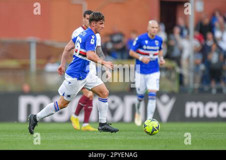 Genova, Italie. 03rd mai 2023. Stade Luigi Ferraris, Gênes, Italie, 03 mai 2023, Flavio Paoletti (Sampdoria) pendant UC Sampdoria vs Torino FC - italian soccer série A Match Credit: Live Media Publishing Group/Alay Live News Banque D'Images