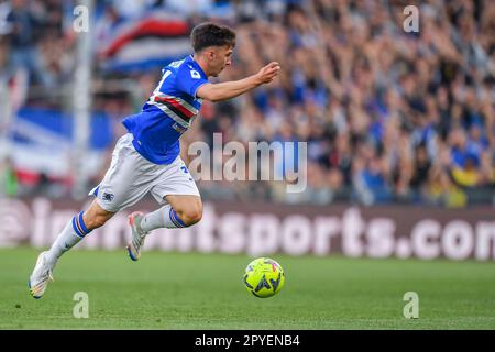 Genova, Italie. 03rd mai 2023. Stade Luigi Ferraris, Gênes, Italie, 03 mai 2023, Lorenzo Malagrida (Sampdoria) pendant UC Sampdoria vs Torino FC - football italien série A Match Credit: Live Media Publishing Group/Alay Live News Banque D'Images