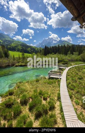 Paysage de printemps à Zelenci, Slovénie Banque D'Images