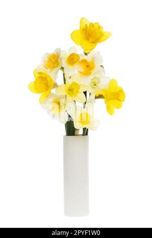 Sélection de différentes fleurs de jonquille disposées dans un vase isolé contre le blanc Banque D'Images