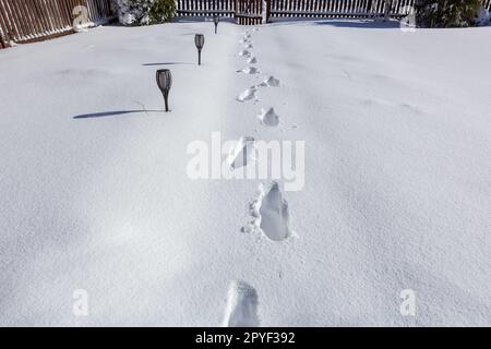 Après une chute de neige. Empreintes de pas dans la neige. Banque D'Images