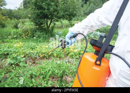 Pulvérisation d'herbicides. Légumes non biologiques. Banque D'Images