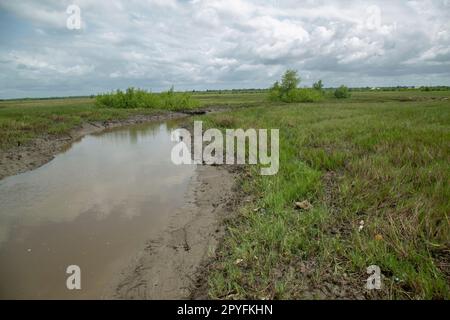 Etat d'Ondo, Nigeria - 2 mai 2023 - la voie navigable polluée de la région riveraine d'Abereke de la Communauté d'Ilaje. Banque D'Images