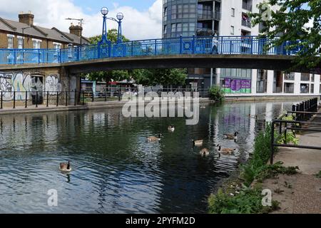 Londres - 05 21 2022 : groupe de canards sauvages sur le canal de Grand Union près de Wedlake St et la passerelle Half Penny Steps Banque D'Images