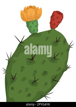 Magnifique nopale - ou poire piqueuse - avec fleur jaune et fruit rouge dans le style de dessin animé. Illustration de Vecteur