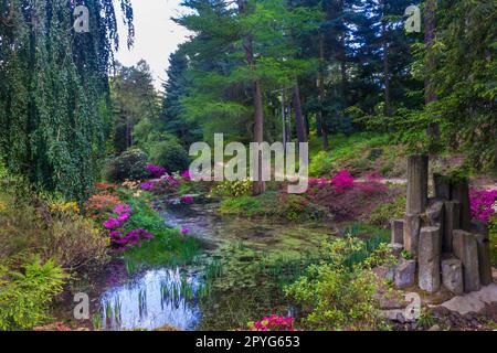 Jardin mystérieux avec des fleurs et des colonnes de basalte à Kromalu, Allemagne Banque D'Images