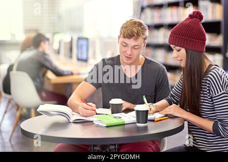 Il est temps de procéder à une révision. deux étudiants du collège étudient ensemble à la bibliothèque. Banque D'Images
