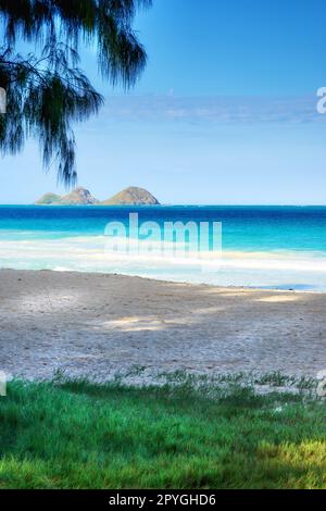 Parc de la plage de soufflet Field - Oahu, Hawaï. Une photo de la célèbre plage hawaïenne - Bellow Field Beach Park, près de Waimanalo, l'île d'Oahu, Hawaï. Banque D'Images