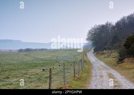 Zone humide danoise - Parc national de Rebild. Nature matinale - terre marécageuse. Un sol humide et boueux trop doux pour supporter un corps lourd. Parc national de Rebild, Jutland, Danemark. Banque D'Images