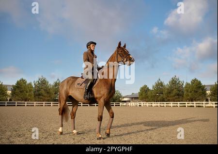 Un entraîneur de cheval avec son étalon à l'extérieur dans la ferme Banque D'Images