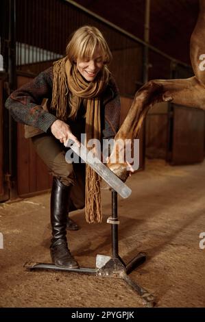 Femme propriétaire de cheval taille et façonnant jeune sabot d'étalon Banque D'Images