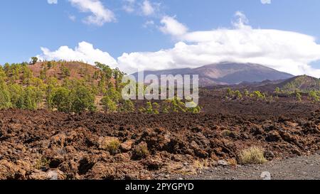 Champ de lave avec vue sur le mont Teide dans les nuages Banque D'Images