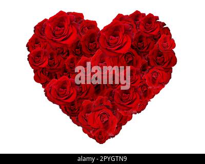 Saint Valentin Coeur en Roses rouges isolé sur fond blanc Banque D'Images