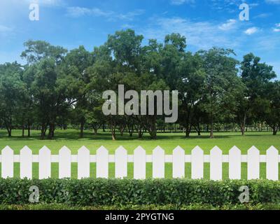 Clôtures blanches sur l'herbe verte et les arbres derrière avec le ciel bleu Banque D'Images