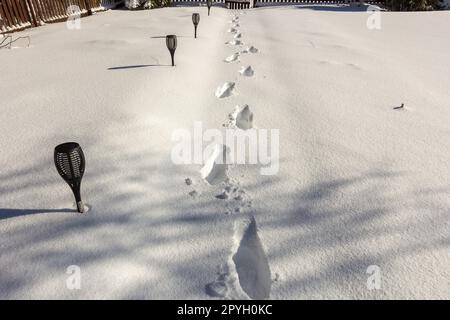 Après une chute de neige. Empreintes de pas dans la neige. Banque D'Images