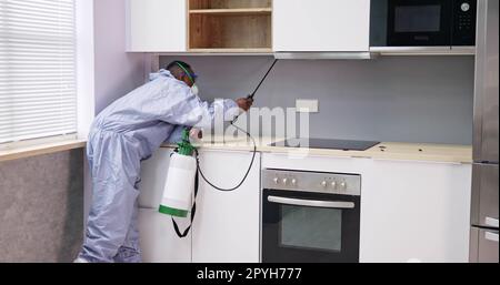 Homme montrant chez Pest Control Worker pulvérisant de l'insecticide sur l'étagère Banque D'Images