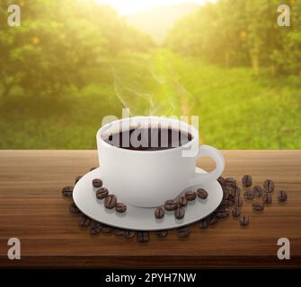 Tasse de café et haricots sur une table en bois. arrière-plan orangers avec fruits à la lumière du soleil Banque D'Images