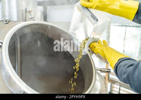 houblon en granulés séché dans la brasserie lors de la préparation de bière. ajouté à un réservoir en acier inoxydable lors de la préparation de bière Banque D'Images