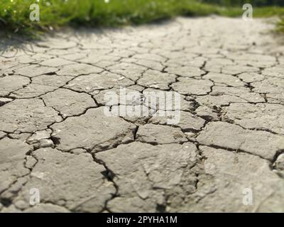 Trottoir fissuré en zone urbaine. Chemin de terre fissuré avec des fissures dans la structure argileuse du sol. Sur les côtés de la photo sont des plantes vertes défocalisées. Flou artistique Banque D'Images