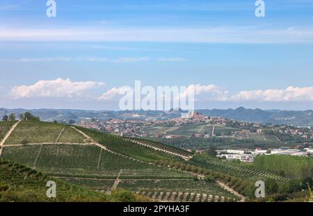 Vignobles Langhe près de Grinzane Cavour. Piémont, Italie Banque D'Images