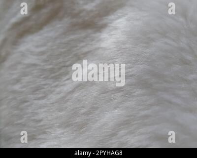 Fausse fourrure blanche. Gros plan. Photo partiellement floue. Villosités moelleuses Banque D'Images