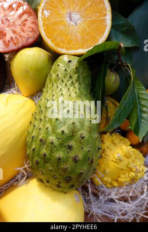 Stachelannone, Sauersack (Annona muricata) in der Markthalle Mercado de Vegueta Banque D'Images