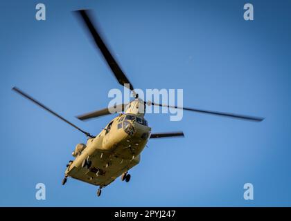 UH-60 Blackhawk et CH-47 les équipages d'hélicoptères Chinook affectés à la Brigade de l'aviation de combat 82nd, Division aéroportée 82nd, mènent une opération d'assaut aérien conjointe avec des parachutistes affectés à l'équipe de combat de 3rd Brigade, 82nd Division aéroportée pendant la rotation 23-07 du joint Readiness Training Centre (JRTC) à fort Polk, en Louisiane, 30 avril 2023. Plus de 4 000 3rd parachutistes de la MCT participent à la rotation, validant leur état de préparation pour les missions à venir potentielles. (É.-U. Photo de l'armée par le CPS. Luis Garcia). Banque D'Images