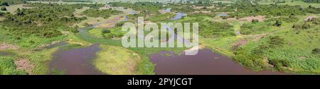 Panorama aérien des zones humides du Pantanal typique paysage avec lagons, forêt, prairies, rivière, champs, Mato Grosso, Brésil Banque D'Images