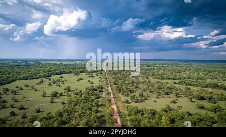 Vue aérienne de la route de terre de Transpantaneira traversant tout droit les terres humides du Pantanal Nord, Mato Grosso, Brésil Banque D'Images