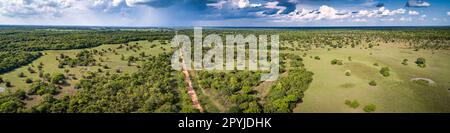 Vue aérienne du paysage typique du Pantaneira avec Transpantaneira, prairies, forêt, pâturage et ciel dramatique, Pantanal Wetlands, Mato Grosso, BR Banque D'Images