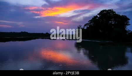 Coucher de soleil coloré sur une rivière dans les zones humides du Pantanal, Mato Grosso, Brésil Banque D'Images