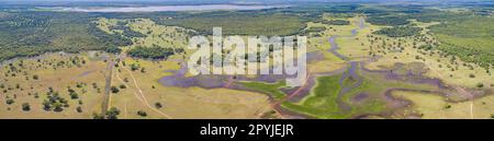 Panorama aérien des terres humides du Pantanal avec lagons, rivières, prairies et forêts, Mato Grosso, Brésil Banque D'Images