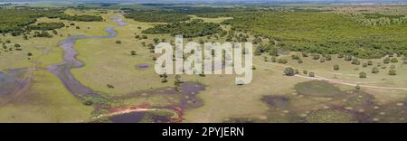 Panorama aérien des terres humides du Pantanal avec lagons, rivières, prairies et forêts, Mato Grosso, Brésil Banque D'Images