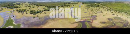 Panorama aérien des terres humides du Pantanal avec lagons, rivières, prairies et forêts, Mato Grosso, Brésil Banque D'Images