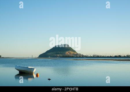 Vieux canot pneumatique couché sur le fond en eau peu profonde avec une bouée orange vif et le mont Maunganui à distance Banque D'Images