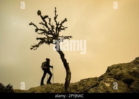 Puig de sa Talaia Vella , 868metros, Camino del Archiduque - cami de Arxiduc,Sierra de Tramuntana, Mallorca,Iles Baléares, Espagne, Europe Banque D'Images
