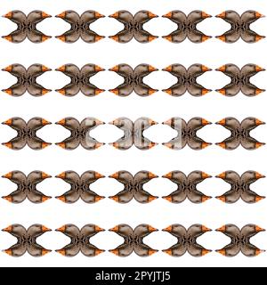 Motif abstrait de l'oie Banque D'Images