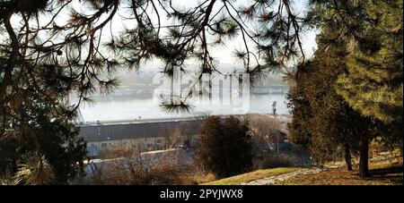 Belle vue depuis Kalemegdan, Belgrade, Serbie. Temps ensoleillé, vue sur la rivière Sava. Branches de pin avec de longues aiguilles. Lumière du soleil du soir. Belle vue sur la vie de la grande ville Banque D'Images