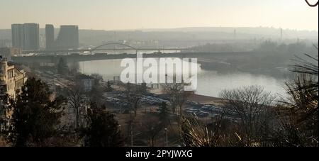 Belle vue depuis Kalemegdan, Belgrade, Serbie. Temps ensoleillé, vue sur la rivière Sava. Branches de pin avec de longues aiguilles. Lumière du soleil du soir. Belle vue sur la vie de la grande ville Banque D'Images