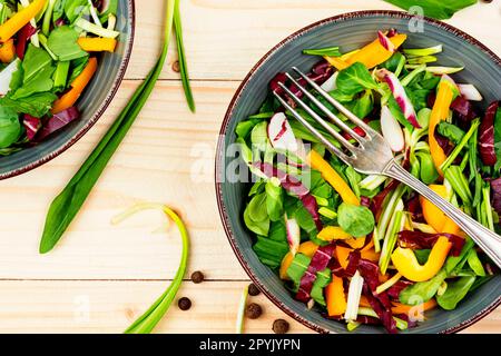 Salade printanière au poivre, radis, chicorée et ramson Banque D'Images