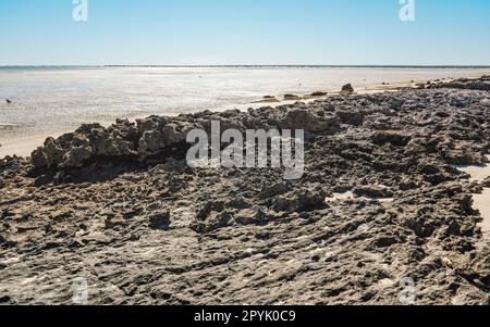 Petites pierres sèches irrégulières visibles sur la plage de sable lavées à l'eau de mer par temps ensoleillé, détail de gros plan Banque D'Images