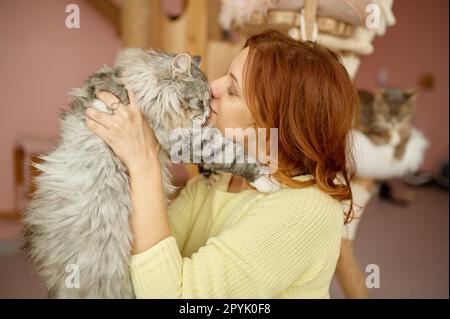 Belle jeune femme embrassant et câlin chat adopté de l'abri d'animal Banque D'Images