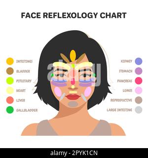 Marqueurs des zones de réflexologie. Projection des organes internes sur le visage d'une femme. Isolé sur fond blanc Banque D'Images
