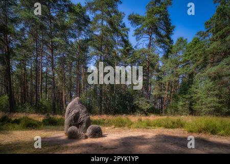 Pierres centrales de cercles de pierre à Odry dans la forêt, Pologne Banque D'Images