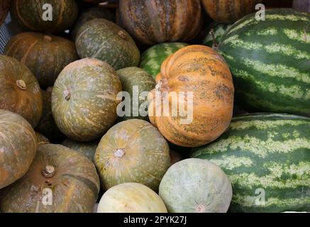 Citrouilles et melons mûrs vendus dans une rue pendant le marché agricole de Cremona, Lombardie, Italie Banque D'Images